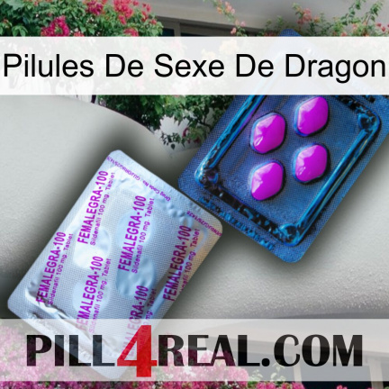Dragon Sex Pills 37